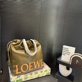 LOEWE bag(30+styles)-1478